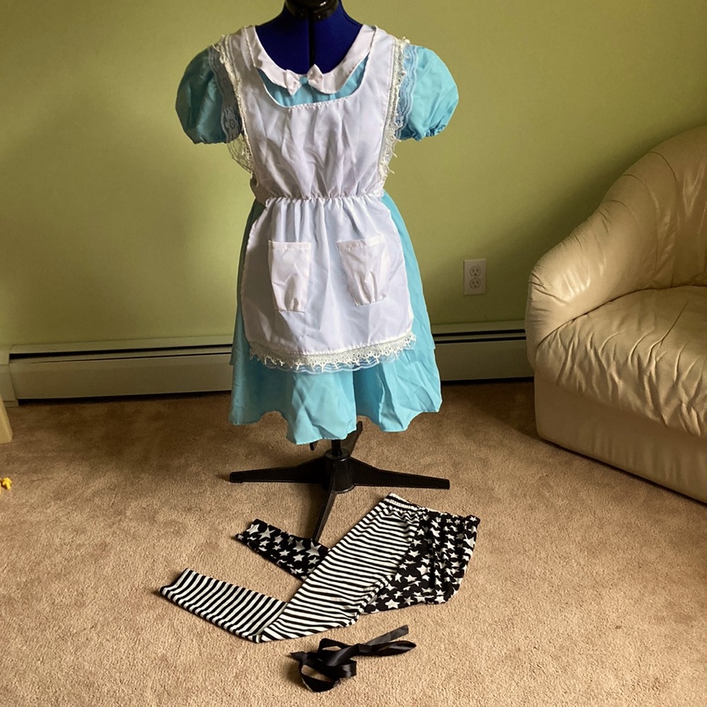 Alice In Wonderland Costume!